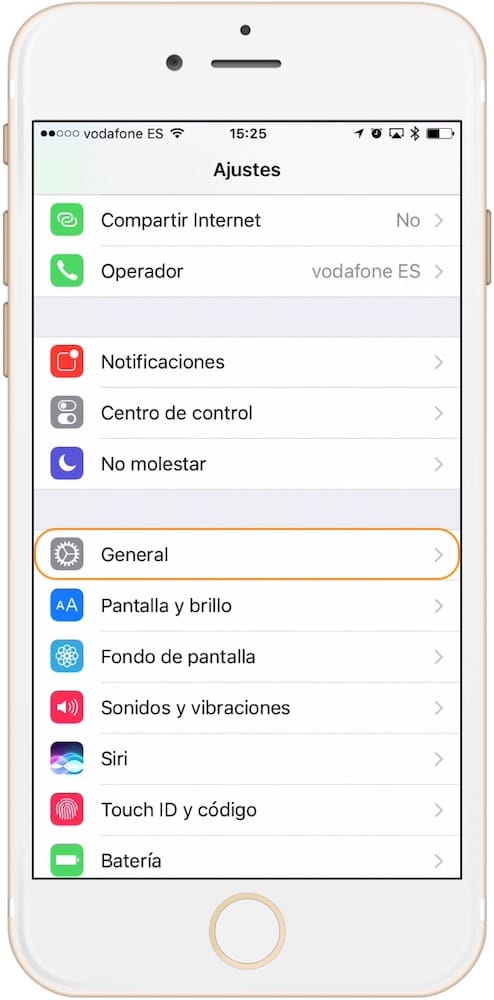 Lupa iPhone Ajustes General-Howpple