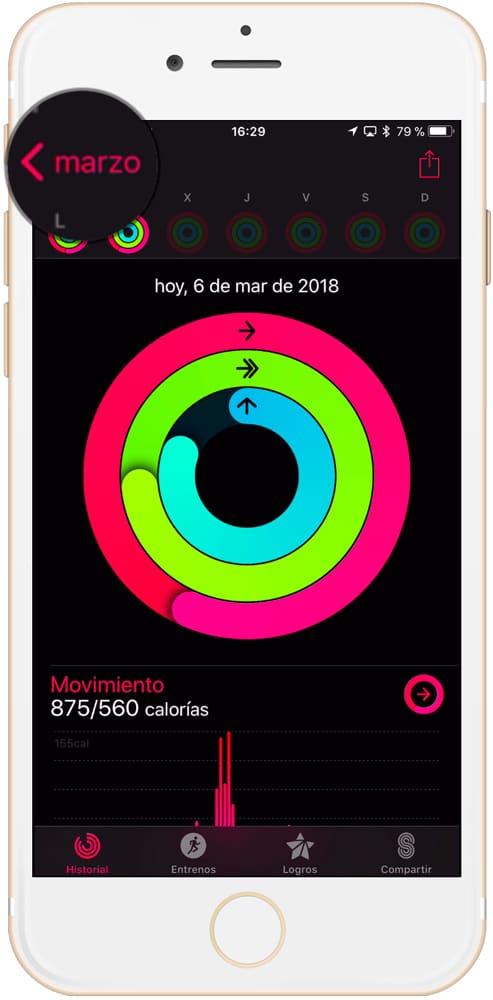 vision general de la aplicación actividad para controlar el consumo de calorías semanales con la aplicación actividad de iPhone