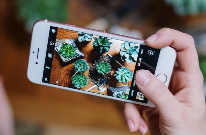Cómo identificar plantas con la cámara del iPhone