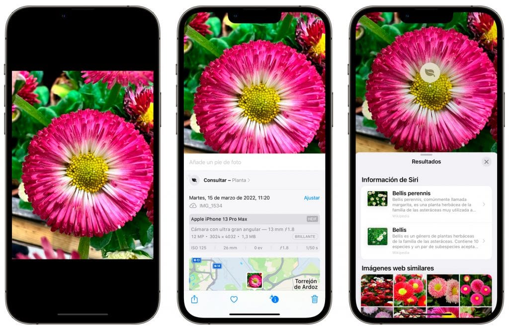 cómo identificar plantas con el iPhone